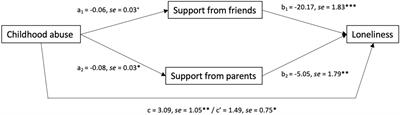 Early life adverse experiences and loneliness among young adults: The mediating role of social processes